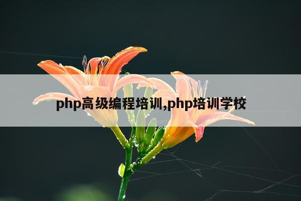 php高级编程培训,php培训学校