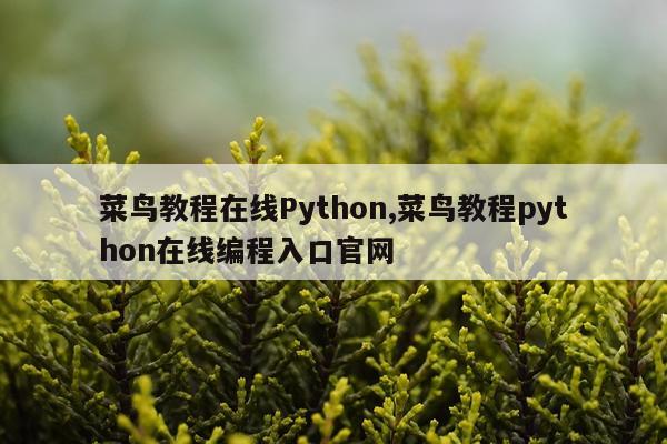菜鸟教程在线Python,菜鸟教程python在线编程入口官网