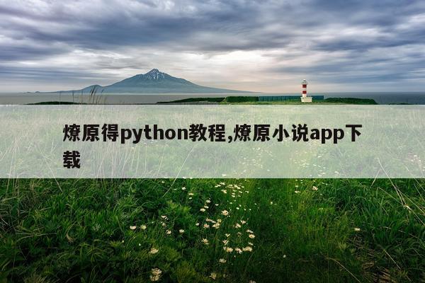 燎原得python教程,燎原小说app下载