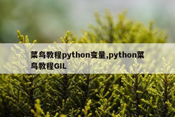 菜鸟教程python变量,python菜鸟教程GIL