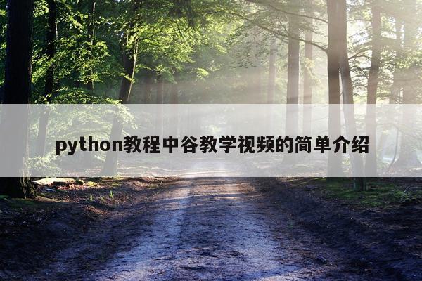 python教程中谷教学视频的简单介绍