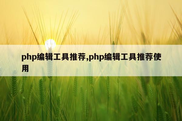 php编辑工具推荐,php编辑工具推荐使用