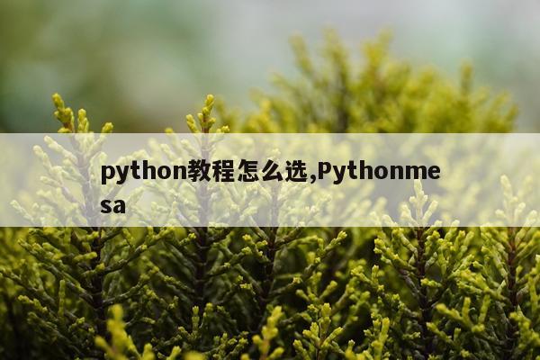 python教程怎么选,Pythonmesa