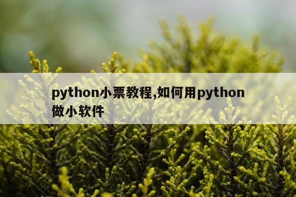 python小票教程,如何用python做小软件