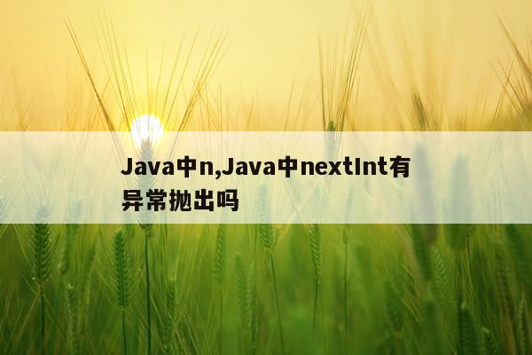 Java中n,Java中nextInt有异常抛出吗