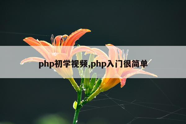 php初学视频,php入门很简单