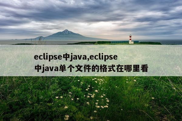 eclipse中java,eclipse中java单个文件的格式在哪里看