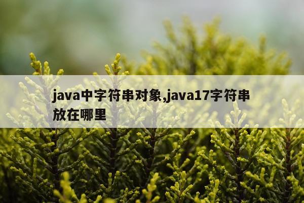 java中字符串对象,java17字符串放在哪里