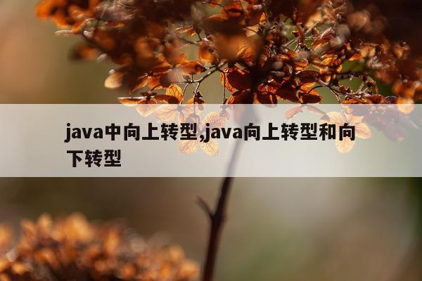 java中向上转型,java向上转型和向下转型