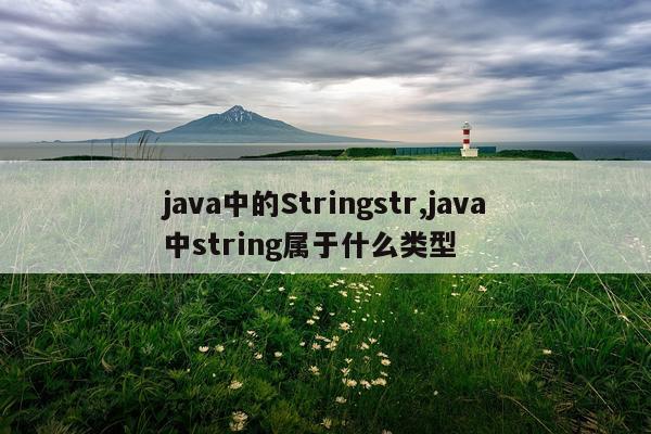 java中的Stringstr,java中string属于什么类型