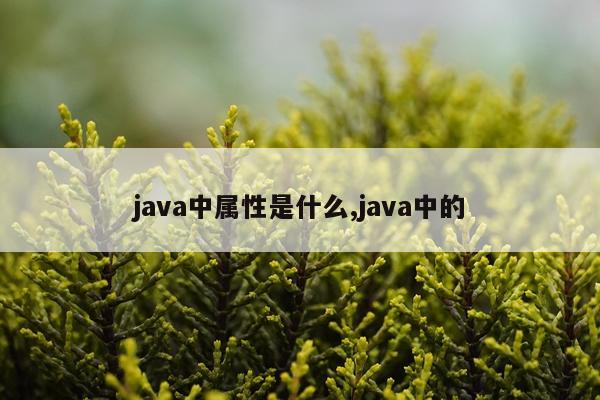 java中属性是什么,java中的