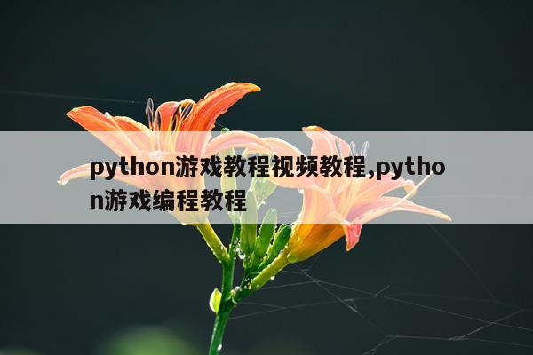 python游戏教程视频教程,python游戏编程教程