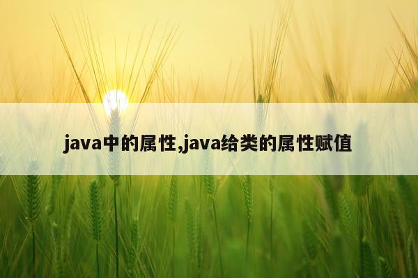 java中的属性,java给类的属性赋值
