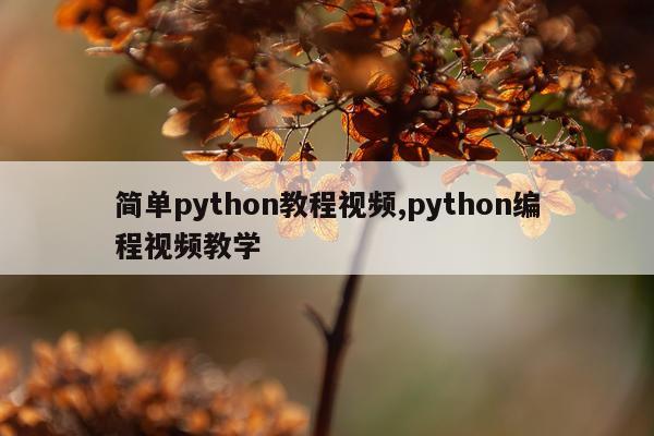 简单python教程视频,python编程视频教学