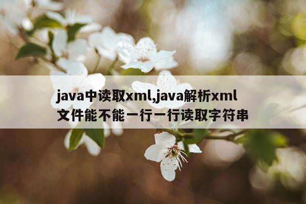 java中读取xml,java解析xml文件能不能一行一行读取字符串