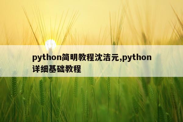 python简明教程沈洁元,python详细基础教程