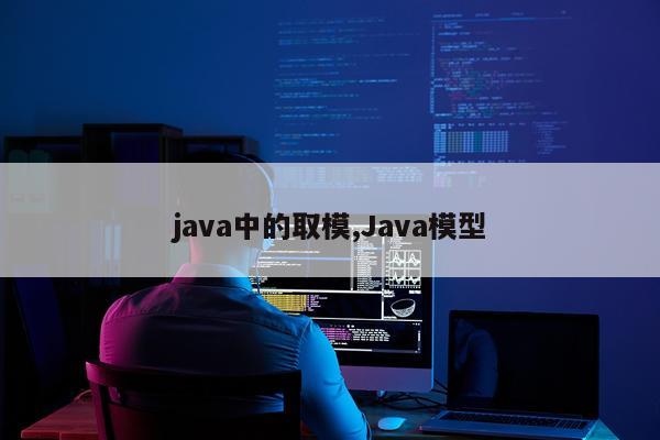 java中的取模,Java模型