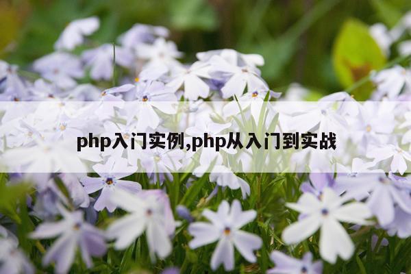 php入门实例,php从入门到实战
