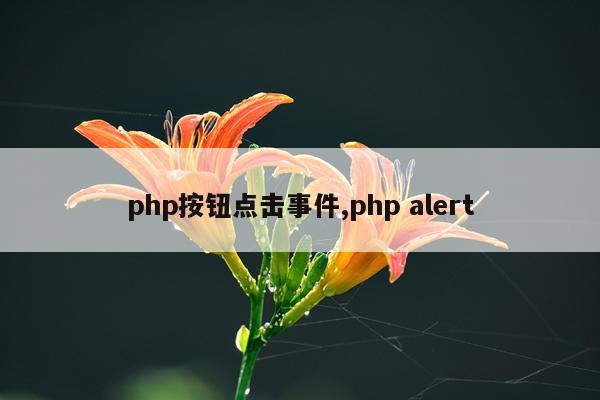php按钮点击事件,php alert