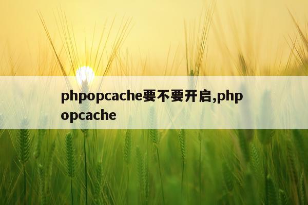 phpopcache要不要开启,php opcache