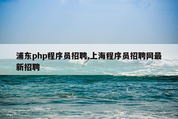 浦东php程序员招聘,上海程序员招聘网最新招聘