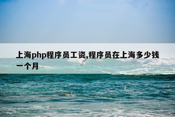 上海php程序员工资,程序员在上海多少钱一个月