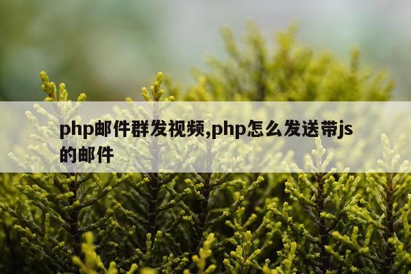php邮件群发视频,php怎么发送带js的邮件