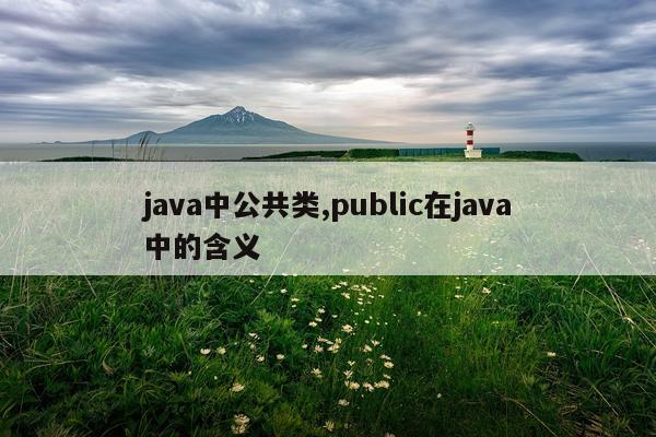 java中公共类,public在java中的含义