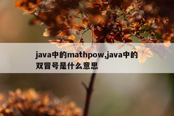 java中的mathpow,java中的双冒号是什么意思