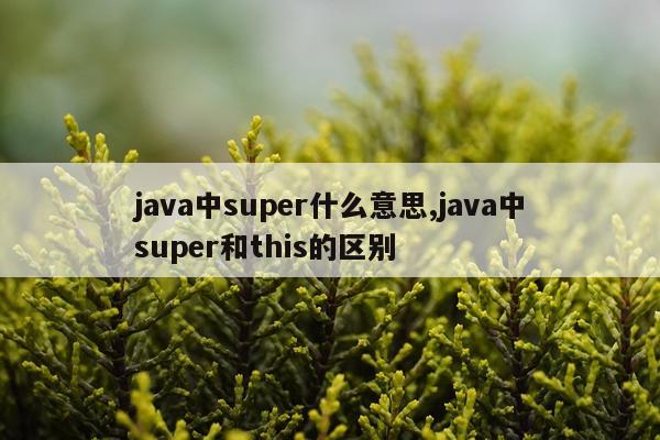 java中super什么意思,java中super和this的区别