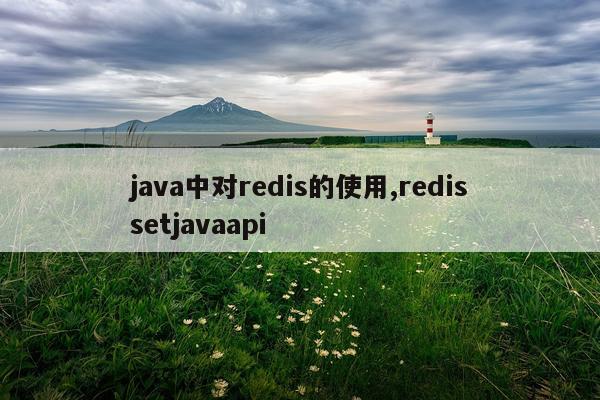 java中对redis的使用,redissetjavaapi