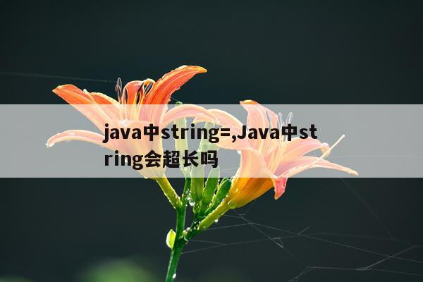 java中string=,Java中string会超长吗