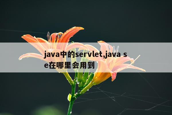 java中的servlet,java se在哪里会用到