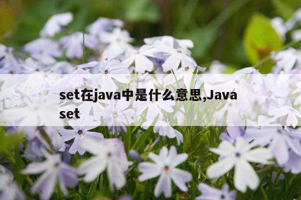 set在java中是什么意思,Java set