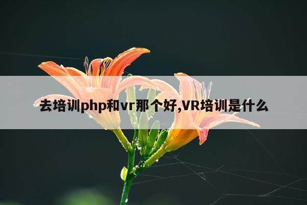 去培训php和vr那个好,VR培训是什么