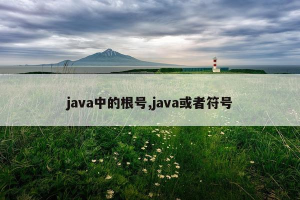 java中的根号,java或者符号