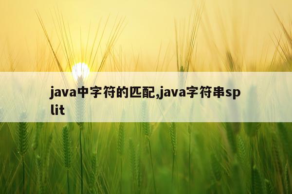 java中字符的匹配,java字符串split