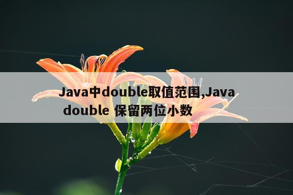 Java中double取值范围,Java double 保留两位小数
