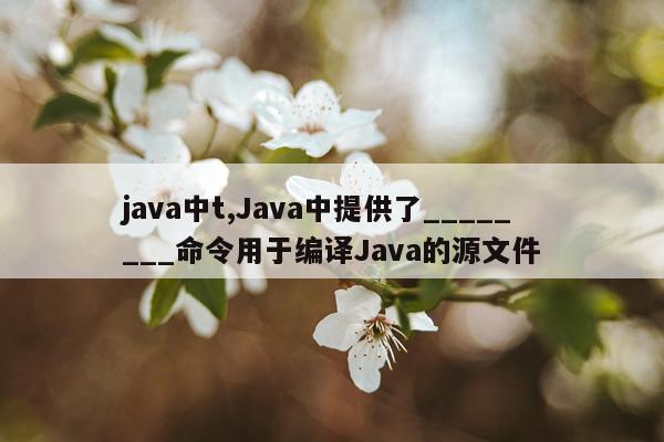 java中t,Java中提供了________命令用于编译Java的源文件