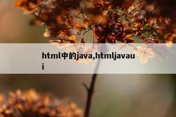 html中的java,htmljavaui