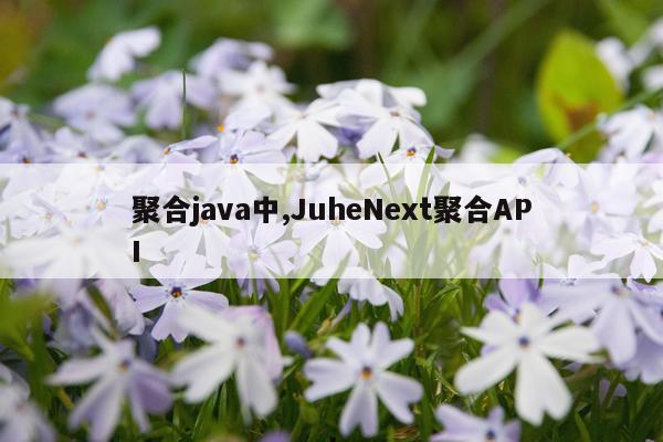 聚合java中,JuheNext聚合API