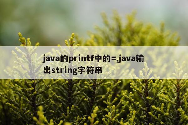 java的printf中的=,java输出string字符串