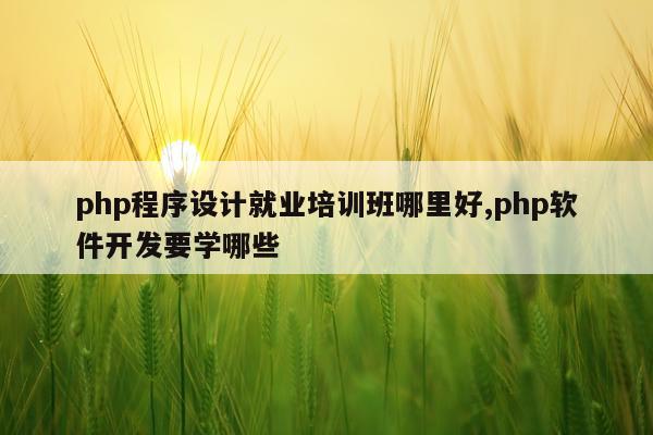 php程序设计就业培训班哪里好,php软件开发要学哪些