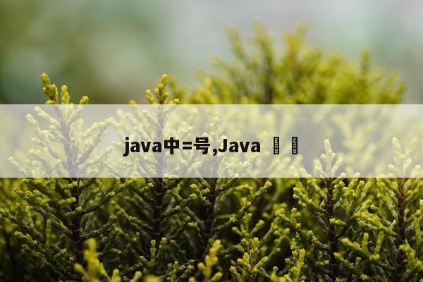 java中=号,Java 業務