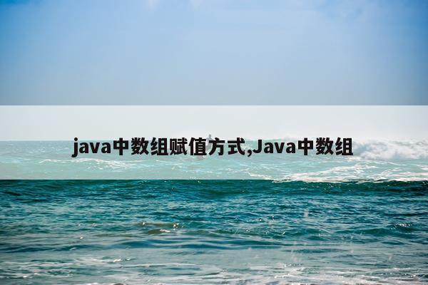 java中数组赋值方式,Java中数组