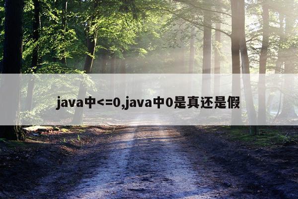 java中