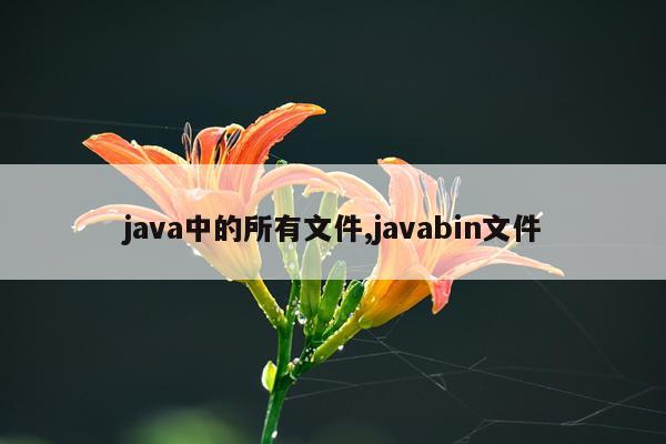 java中的所有文件,javabin文件