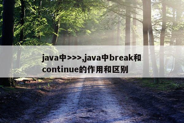 java中>>>,java中break和continue的作用和区别