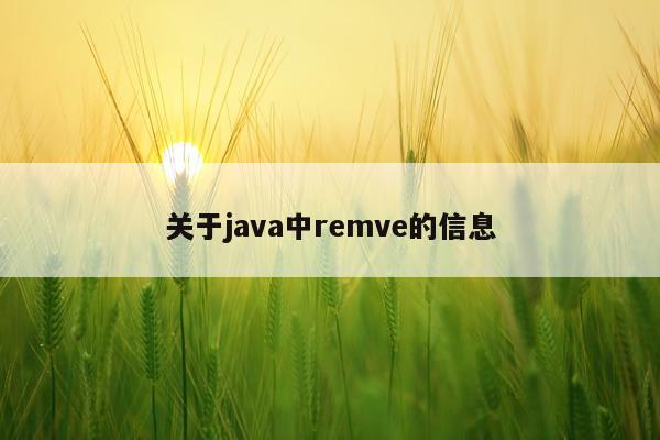 关于java中remve的信息