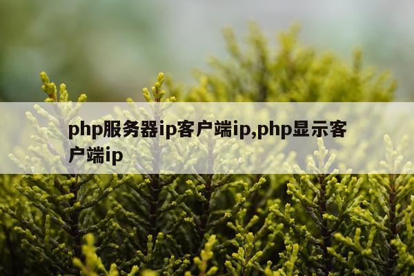 php服务器ip客户端ip,php显示客户端ip